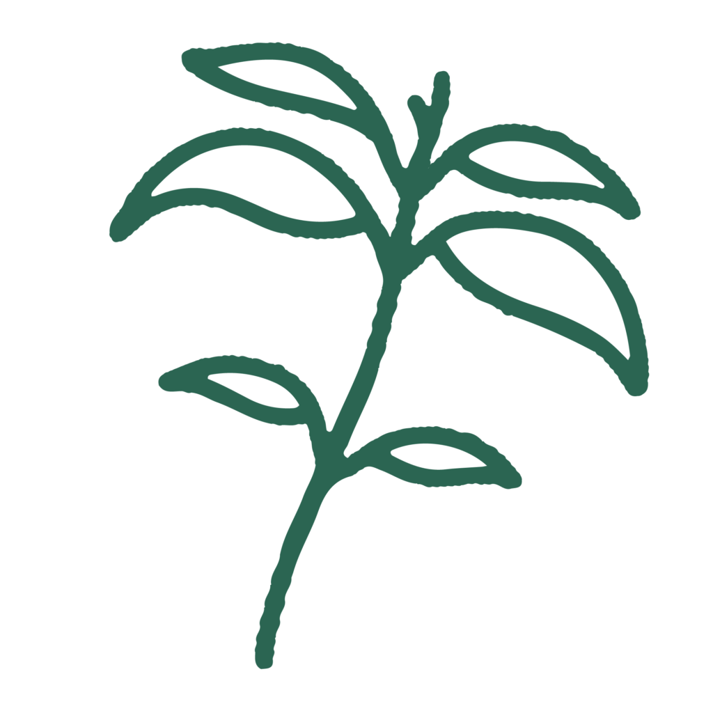 Hoja
