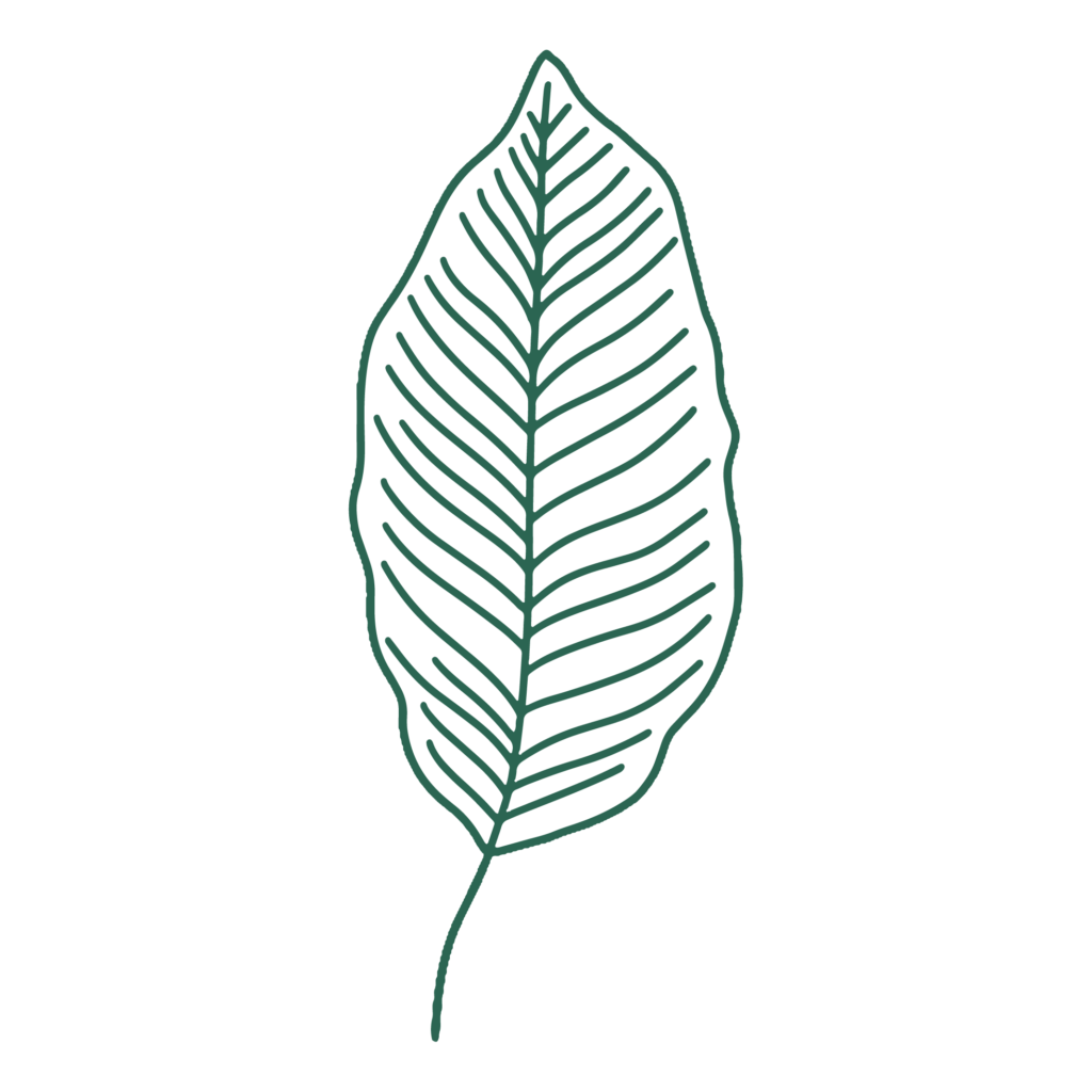 Hoja